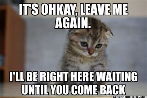 20 Sad Cat Memes That Are Way Too Adorable