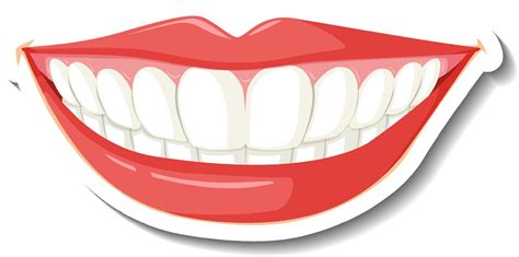 White Teeth Vector Art Icons And Graphics For Free Download