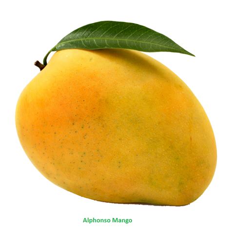 Single Mango Png Transparent Image Png Arts