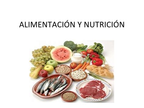 AlimentaciÓn Nutricional Nutricion125