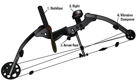 Compound Bow