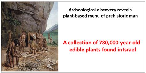 Prehistoric Man Archeological Discovery Reveals Plant Based Menu