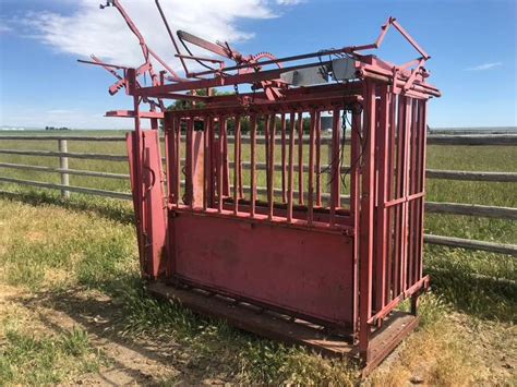 7 Cattle Squeeze Chute And Scale Musser Bros Inc