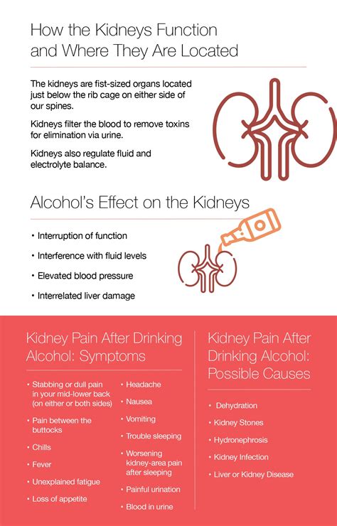 Can Alcohol Cause Kidney Infection