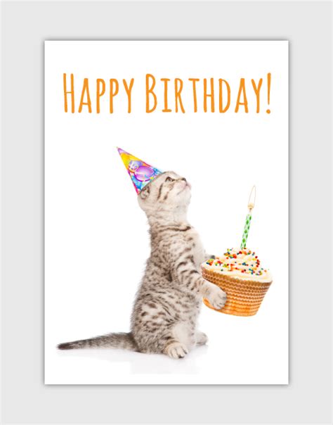 Happy Birthday Png With Cats Transparent Happy Birthday With Catspng