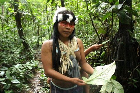 Ecuador's isolated indigenous tribes: stuck between oil and state neglect - Nexus Newsfeed