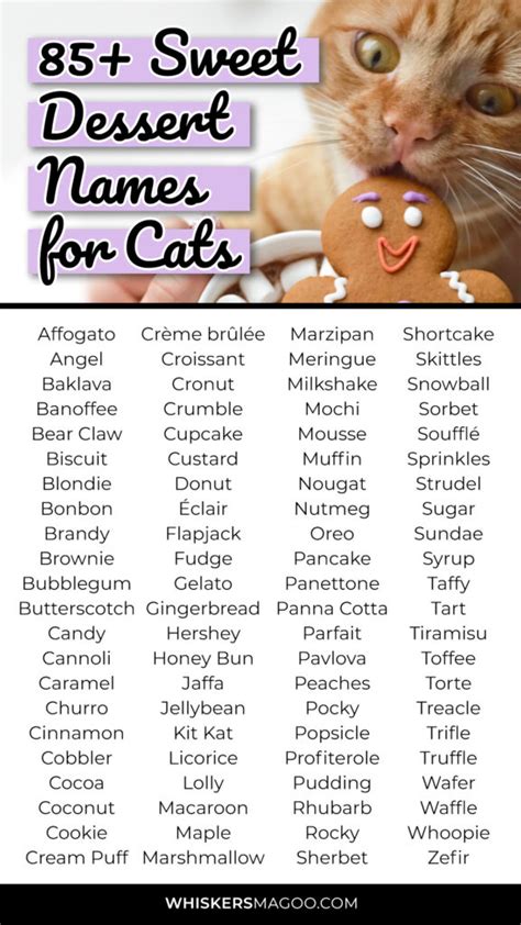 85 Sweet Dessert Names For Cats Whiskers Magoo