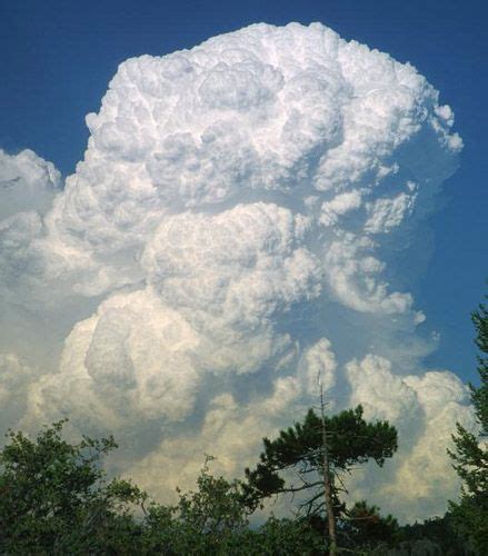 This Towering Cumulus Cloud Is A Precursor Of A Cumulonimbus Or