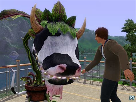 Laganaphyllis Simnovorii Koeienplant Premiummateriaal Voor Sims 3