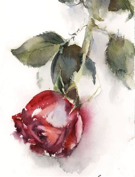 Single Red Rose Original Watercolor Painting By Canotstop Etsy