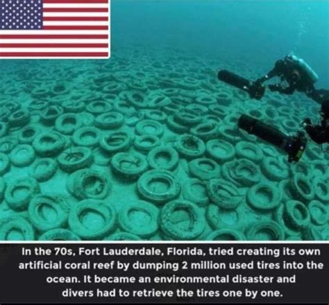 To Create An Artificial Coral Reef Rtherewasanattempt