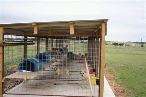 Diy Dog Run Kennel Charmain Weir