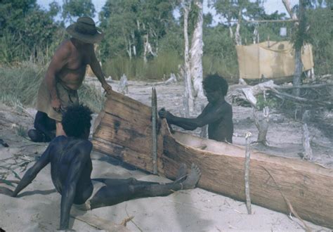 Making A Canoe From Tree Bark G Macdonald Aboriginal History