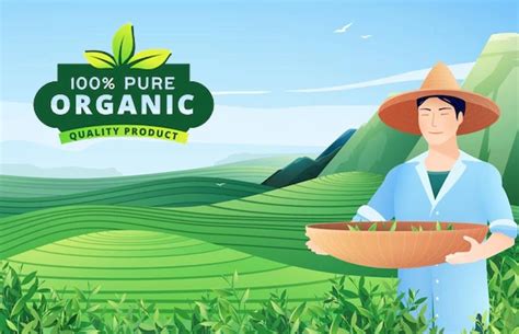 Why Go Organic And Is It Better Than Non Organic
