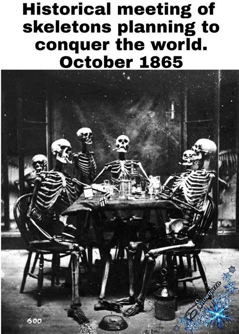 Our Favorite Compilation Of Skeleton Memes And Puns This 2021 Images