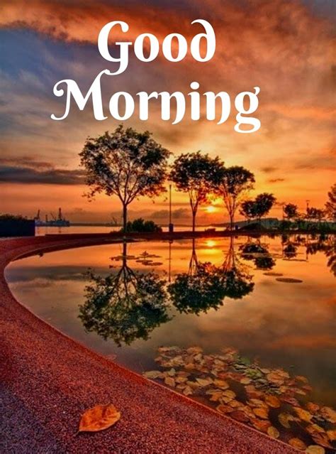 Have a great day ahead. Good Morning Nature Images HD, Quotes Free Download