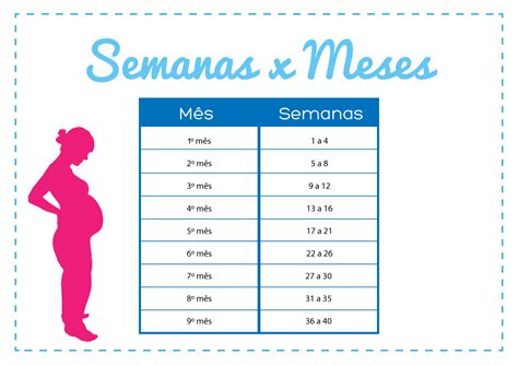 Quantos Meses E 24 Semanas De Gestação