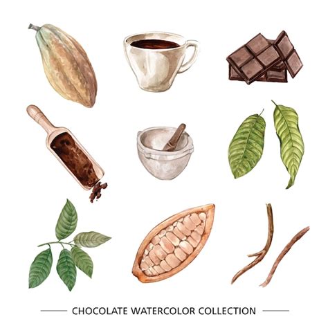 Conjunto De Ilustración Acuarela Chocolate Sobre Fondo Blanco Vector