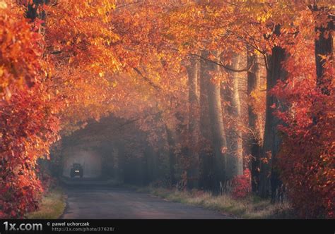 30 Gorgeous Autumn Photographs Blog