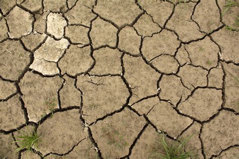 Soil Degradation Causes And Consequences