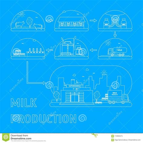 Milk Production Process Vector Stock Vector Illustration Of