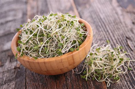 Broccoli Sprouts A Rising Superfood