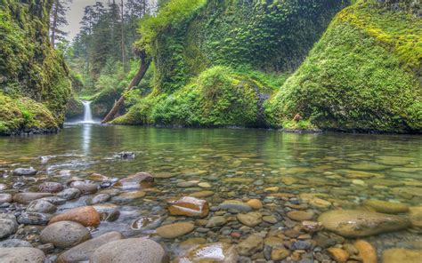 Columbia River Gorge Punchbowl Falls Waterfalls Stones Rivers Usa 4k