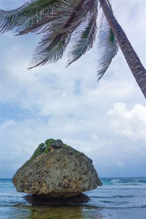 Ultimate Travel Guide To Barbados Barbados Caribbean Island Beach