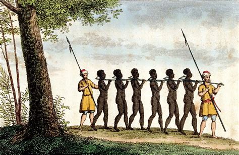 La trata negrera en América siglos XVI XIX