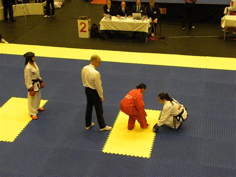 Spanje, zweden, polen en slowakije. EK Zweden 2012 | Taekwon-Do Middelburg