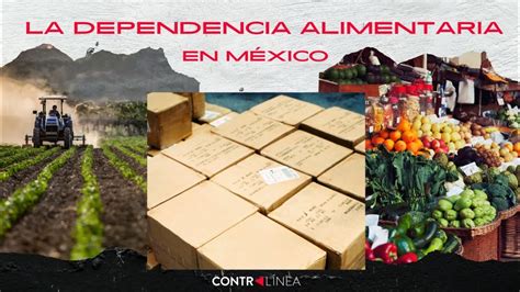 Se Necesitan 20 Años Para Revertir La Dependencia Alimentaria En México