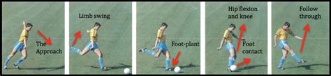 Biomechanics Of A Soccer Penalty Kick