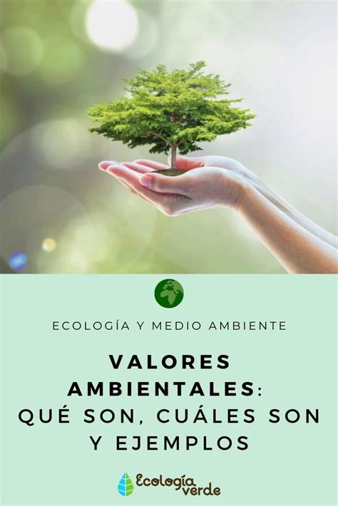 Valores Ambientales Qué Son Y Ejemplos Medio Ambiente Conservación