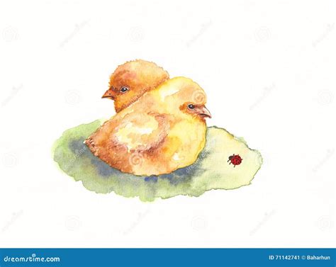 Watercolor Baby Chickens And Ladybug Stock Illustration Illustration