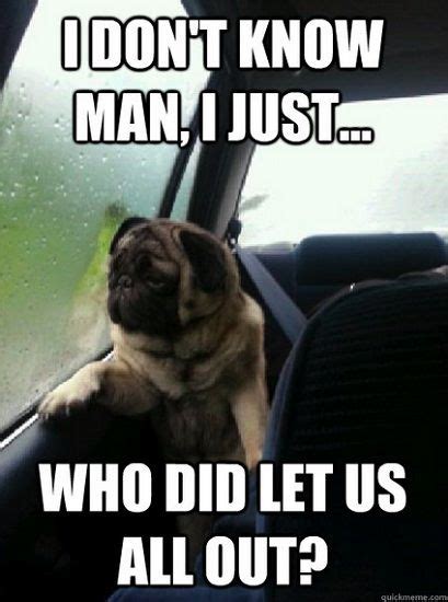 Introspective Pug 03 Funny Dog Memes Funny Captions Funny Pictures