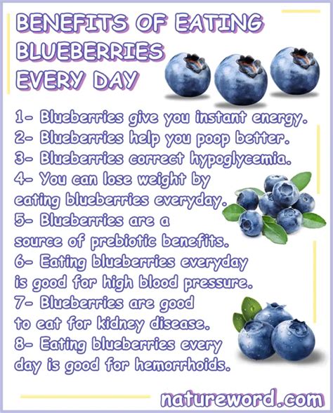 What Are The Benefits Of Eating Blueberries Every Day Natureword