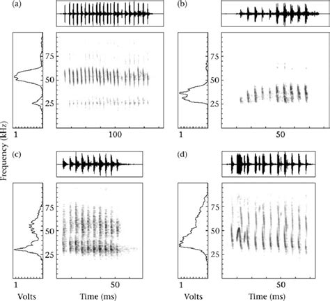Sonagrams Oscillograms And Power Spectra Of Typical Distress Calls Of