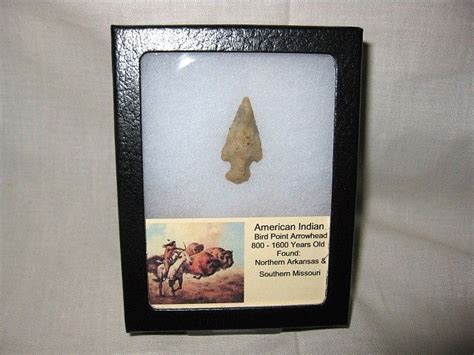 Native American Bird Point Arrowhead 9 Indiana9 Fossils Native