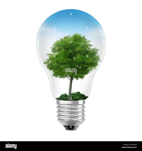 Light Bulb With Tree Inside Stock Photo Alamy