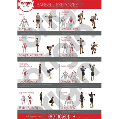 Fitmate Barbell Workout Exercise Poster Workout Routine With Free
