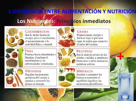 Nociones Basicas Sobre Nutrición