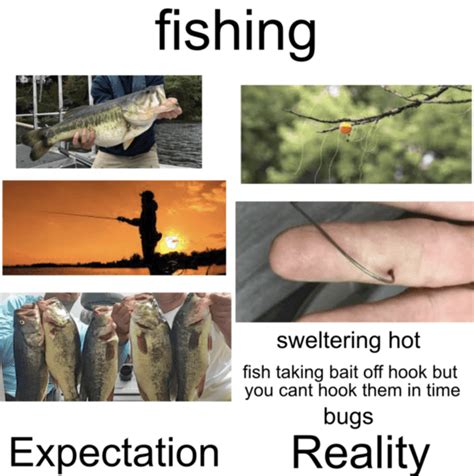 20 Fishing Memes That Will Have You Cracking Up Laptrinhx News