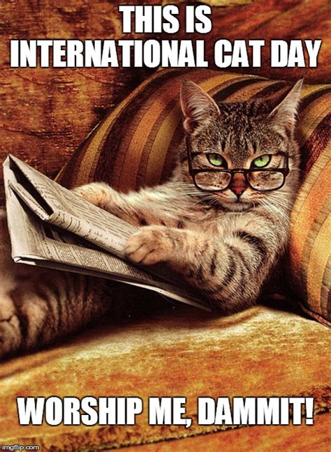 Moments Of Introspection Happy International Cat Day 2020