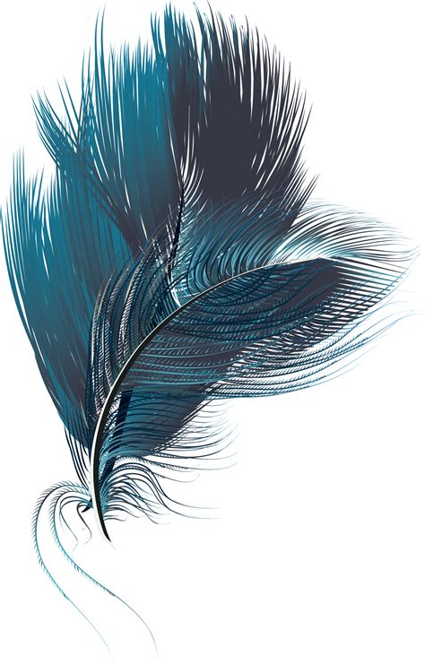 Blue Feathers Png Illustration Clipart Large Size Png Image Pikpng