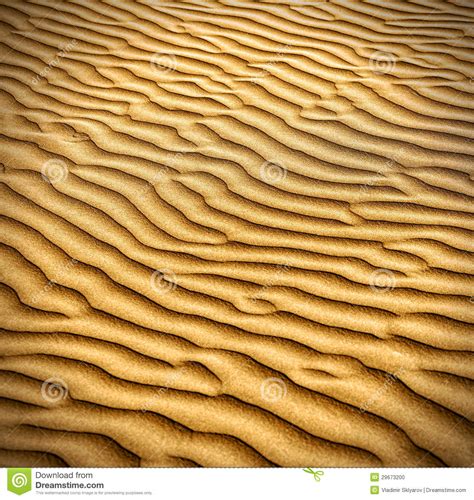 Sand And Dunes Of The Thar Desert Stock Photo Image Of Dune Pattern