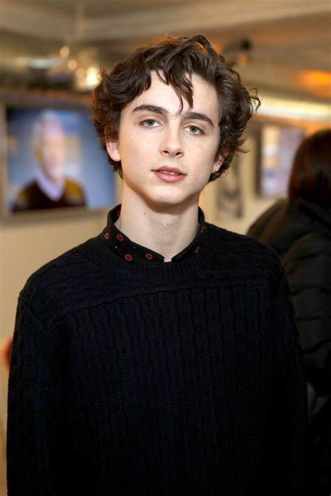 Information on this blog are copyright to their respectful owners. Timothée Chalamet Wallpapers - Wallpaper Cave