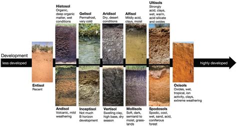 Soil Type By Zip Code Black Sea Map