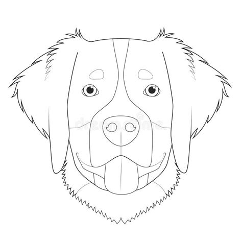 Bernese Mountain Dog Coloring Pages Sketch Coloring Page