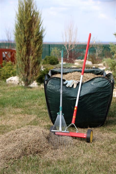 Always make sure to check if the thatch is deep enough to warrant the dethatching process before you start. Easy To Follow Instructions For Dethatching Your Lawn ...