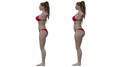 Typical Woman Body Measurement Body Measurement Info
